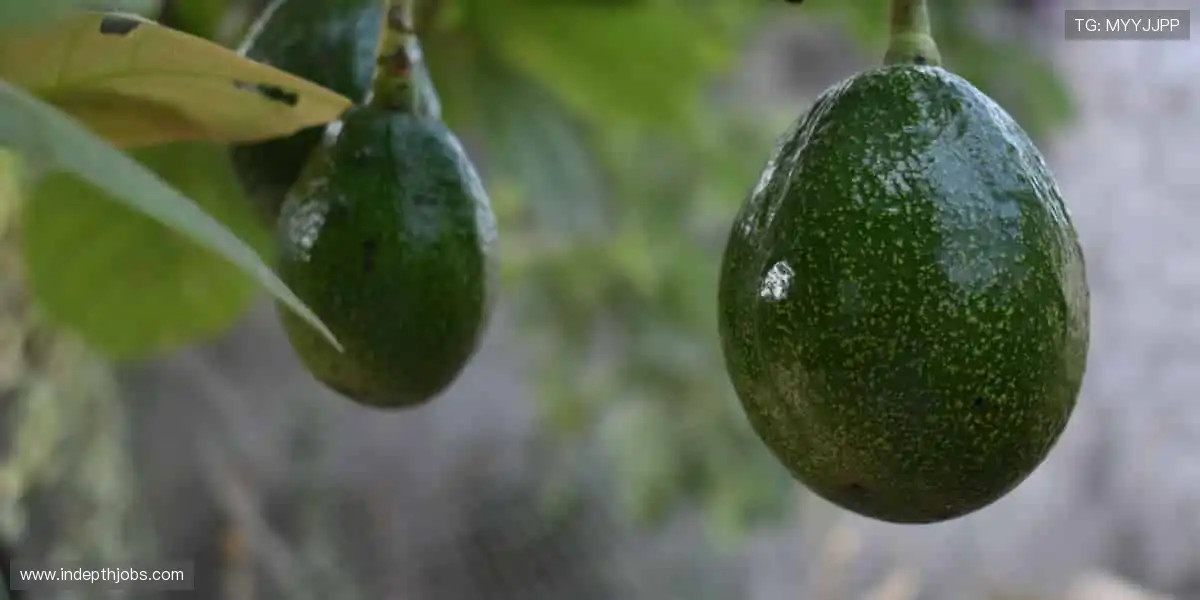 球星同款，即刻拥有！⚡️